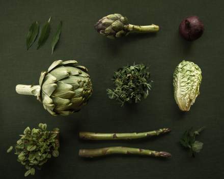 Le Bistronome | Arbois | Restaurant 